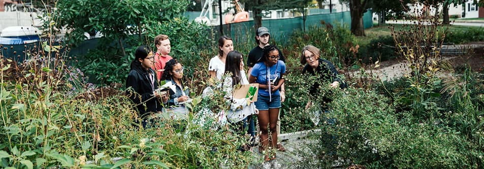 Students studying in the Ruane bioswale
